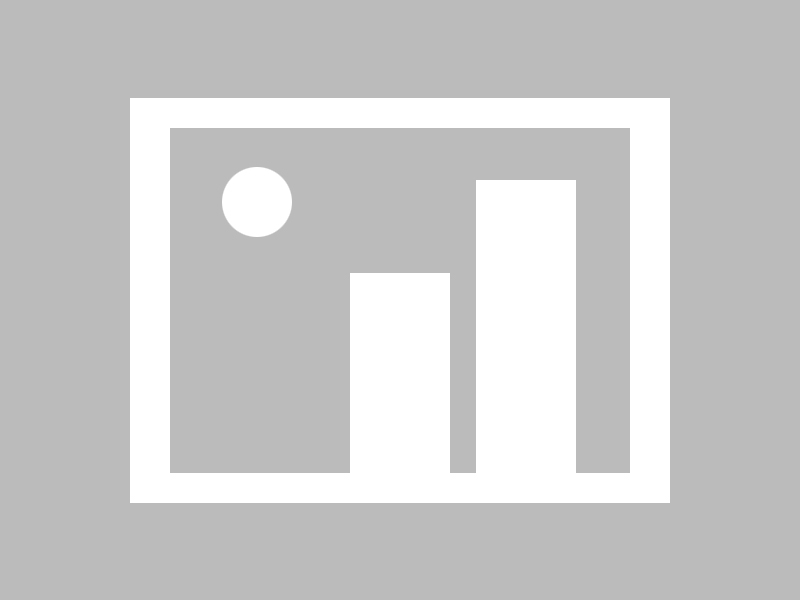 《四光猪现蠢记》完整版在线观看全集高清免费_中国电影